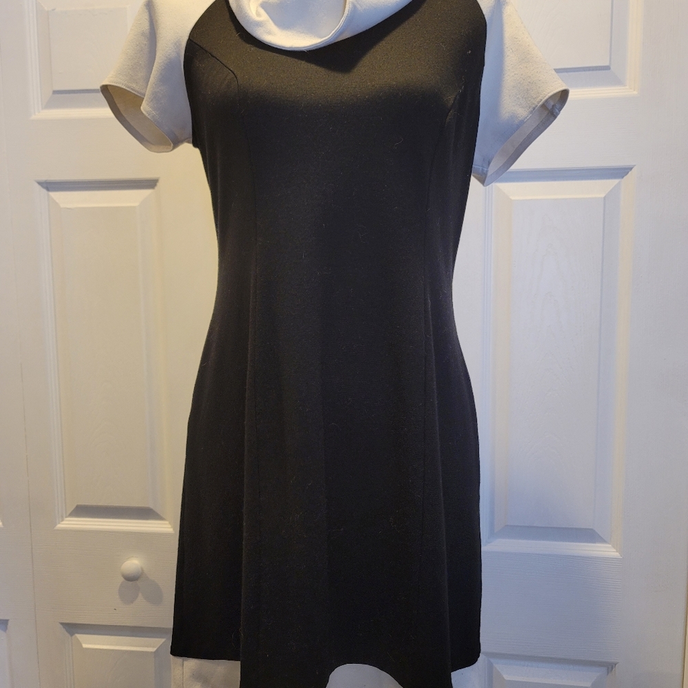 Knit Cowell Neck Dress